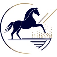 Chariot Global (A BrickRed Group Company) logo - Similar company to Open Range Analytics
