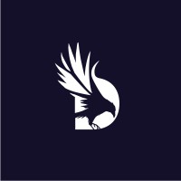 Designly Studios logo - Similar company to Data4Development