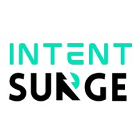 IntentSurge logo - Similar company to Bluestone Group