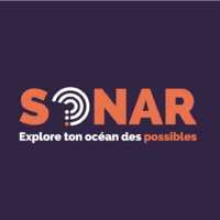 Sonar logo - Similar company to Sonar Consulting
