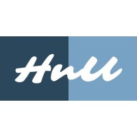 HNU GLOBAL IT SERVICES logo - Similar company to Vsoft Technology