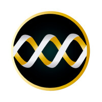 Capital Minds Inc | IT Consulting, Recruitment and Digital Solutions logo - Similar company to Macromiles Seo Services Orlando ( Macromiles Technology)