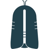 Cocoon Audio logo - Similar company to Frequency Machine