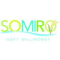 Somiro project logo - Similar company to Hortiqd Project