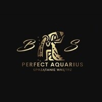 Perfect Aquarius - Sprzątanie Wnętrz logo - Similar company to Wp Woo