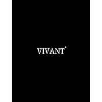 Vivant Media logo - Similar company to Vivant Media Group
