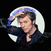 David Bowie Brasil logo - Similar company to Goedel.De