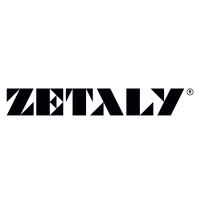 Zetaly logo - Similar company to Dts Software