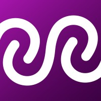 Surwise logo - Similar company to Ivan Guevara Coaching