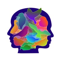 DIS is me logo - Similar company to Heelzorg