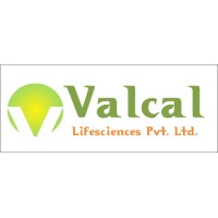 VALCAL LifeSciences Pvt. Ltd logo - Similar company to Smartech Pharma Services
