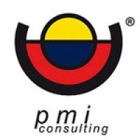 PMI CONSULTING di Bonassi Davide logo - Similar company to Finanza E Contributi