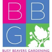 Busy Beavers Gardening Llc