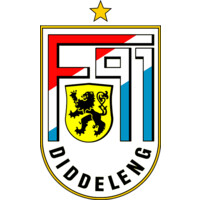 F91 Diddeleng logo - Similar company to Fk Zalgiris