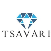 Tsavari Mining Limited logo - Similar company to Tsavari Inc