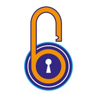 Barizi Data Privacy Services logo - Similar company to Bitmas