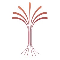 Network of Students in Medicine and Health (NeSMAH) logo - Similar company to Funkeynastix
