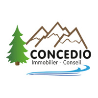 Concedio Immobilier logo - Similar company to The Best Partner