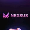 Nexsus solutions logo - Similar company to Nexus Solutions Group