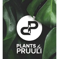 Plants by Pruuli logo - Similar company to Gpo Technologies