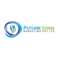 FUTURE SHINE MARKETING PRIVATE LIMITED logo - Similar company to Lederwaren Exim Llp