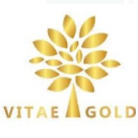Vitae Gold logo - Similar company to Sw Moda Feminina