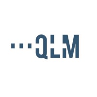 Quantum Leap Management logo - Similar company to Holistic Data Solutions
