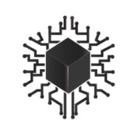 Codex Souls logo - Similar company to Zee Dev