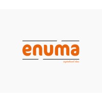 enuma logo - Similar company to Enuma