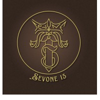 SEVONE 15th logo - Similar company to Sevone 14Th
