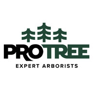Pro-Tree Outdoor Services logo - Similar company to Plusone Construction