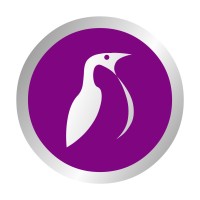 Penguin Construction International logo - Similar company to Oaks Construction Co Ltd