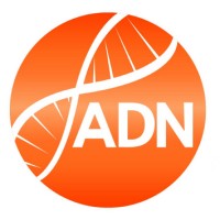 Adnbrokers Consulting
