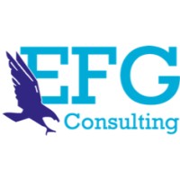 EFG CONSULTING logo - Similar company to Sieco S.R.L.