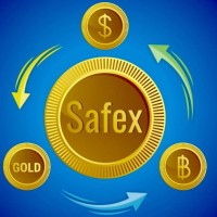 Safex Trading logo - Similar company to Safe Exchange