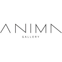 Anima Gallery logo - Similar company to Engineering Unplugged