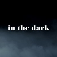 in the dark logo - Similar company to Hpss Ltd