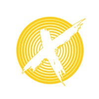 BIG X logo - Similar company to Chrysal-Id