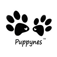 Puppynes logo - Similar company to Roket Media Ltd - Search