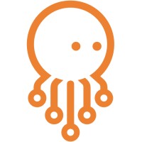 Octio logo - Similar company to Interface Digital