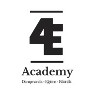 4E Academy logo - Similar company to Emc International Co.