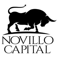 Novillo Capital Limited logo - Similar company to Ethos Ridge