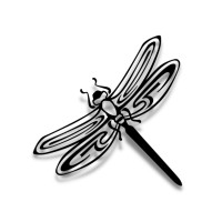 Dragonfly logo - Similar company to Red Jacket Speaker Bureau