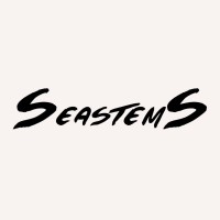 Seastems logo - Similar company to Bepatient