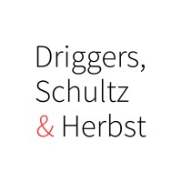 Driggers Schultz & Herbst logo - Similar company to Rebelia Consulting