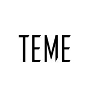 TEME logo - Similar company to Tism Bree