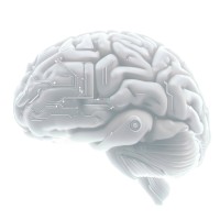 OneBrain logo - Similar company to Digitx