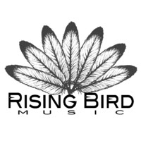 RISING BIRD MUSIC logo - Similar company to Modulo