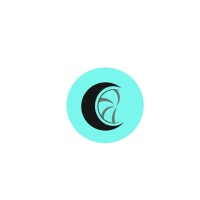 Caryanam logo - Similar company to Caryanams