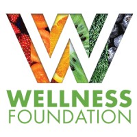 Wellness Foundation logo - Similar company to Wellness Foundation